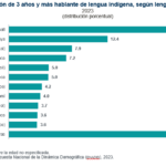 6 de cada 100 personas hablan alguna lengua indígena en México: INEGI