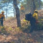 Este lunes, nueve incendios forestales activos en el estado de Guerrero