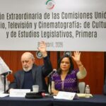 Nueva Ley Federal de Cine obliga a plataformas digitales a difundir contenido mexicano y garantiza accesibilidad: Mojica Morga