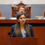 Menores no deben ser “instrumentos de presión” en conflictos parentales: Violeta Martínez