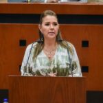 Congreso analiza propuesta para incluir donación de órganos en licencias de conducir