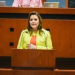 “Detrás de cada desplazamiento hay una persona, una familia, una historia”: Erika Lührs